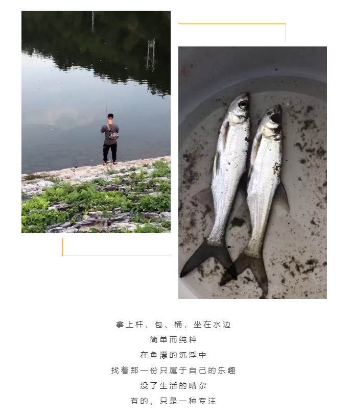 秋天了，來一場(chǎng)成年人的秋游吧(圖5)