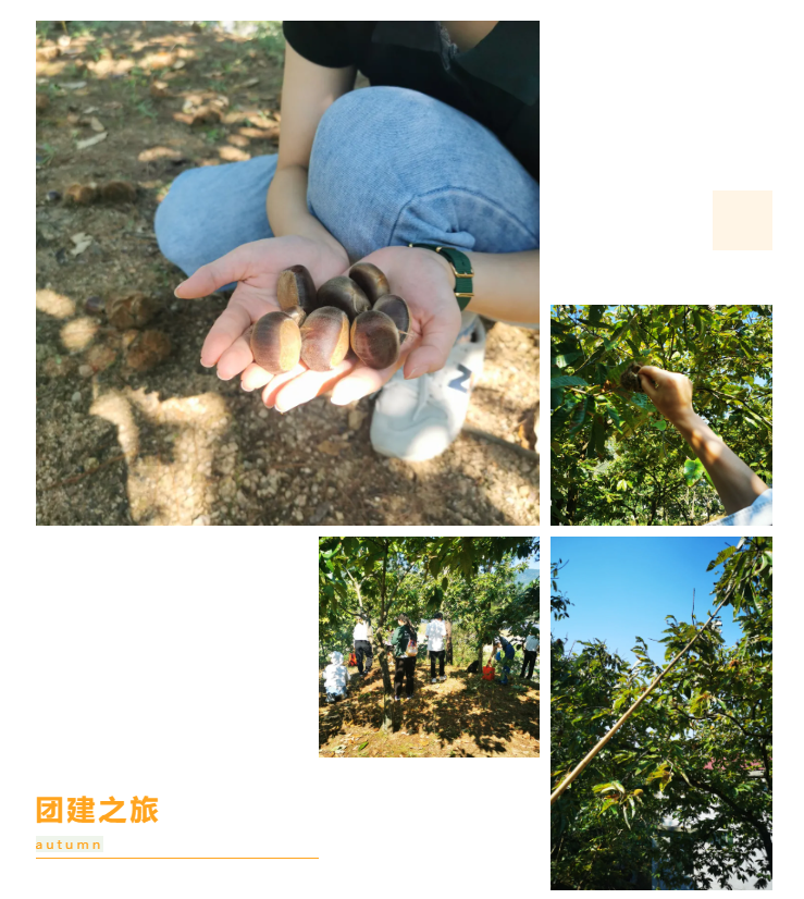 秋天了，來一場(chǎng)成年人的秋游吧(圖6)